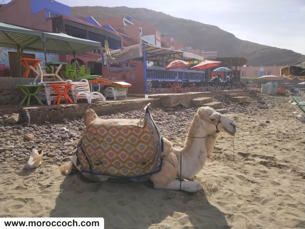 جمال بشاطئ الكزيرة