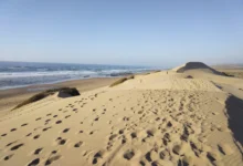 كثبان رملية بشاطئ تلات نبوعزة اقليم تيزنيت