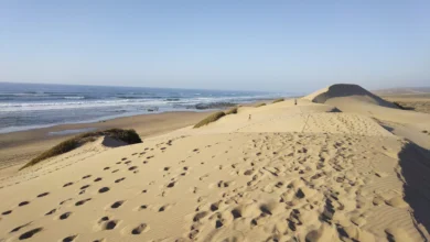 كثبان رملية بشاطئ تلات نبوعزة اقليم تيزنيت